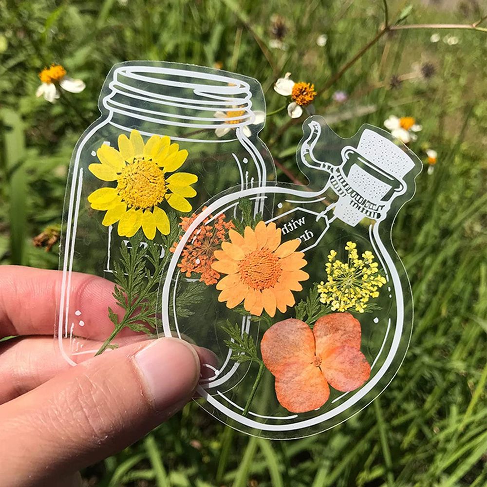 30 Stück DIY transparente getr – Dried Flower Bookmark Bewertung und Preis